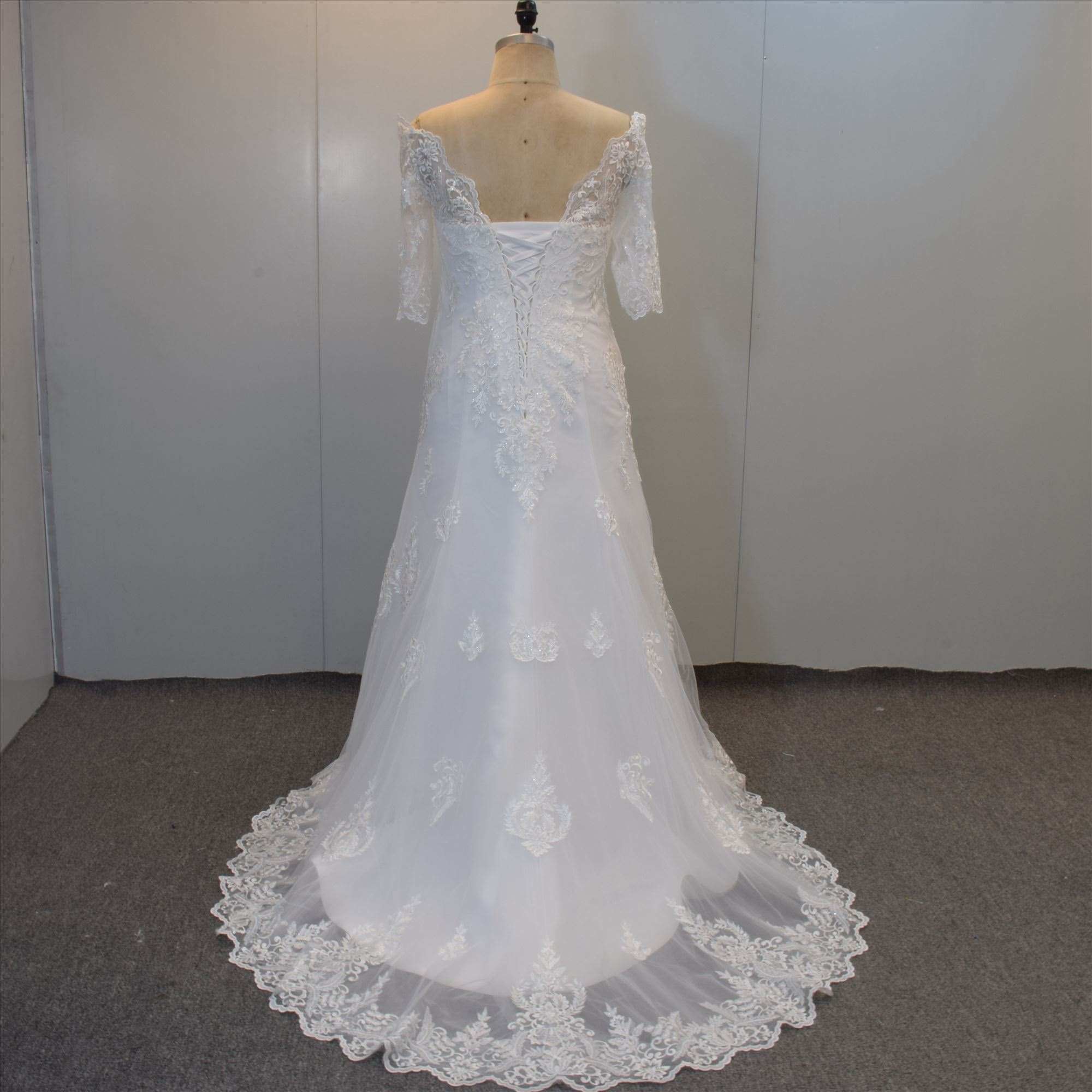 Short Sleeves Plus Size Lace Bridal Gown Elegant Wedding Dress for Women