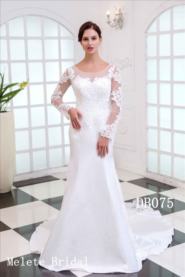 Long sleeves Mermaid Lace Applique Wedding Dress