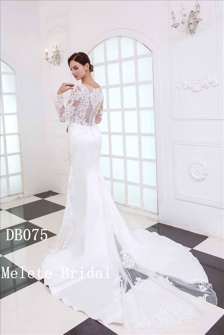 Long sleeves Mermaid Lace Applique Wedding Dress