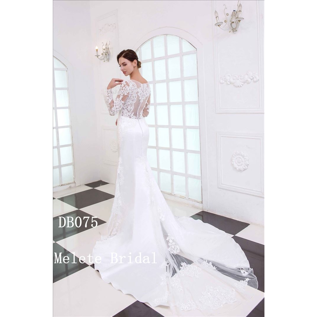 Long sleeves Mermaid Lace Applique Wedding Dress